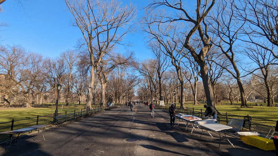 NYC_2024-02-03 09-46-56_PXL_20240203_144656603